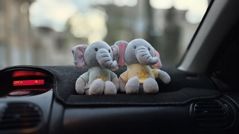 Top Ten Must-Have Auto Accessories for Every Car Owner